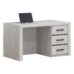 Bureau ELVIS